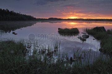 Lake at twilight Hamra National Park Sweden