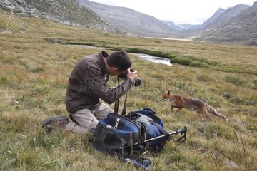 Fotograf fotografiert einen Red Fox Gran Paradiso NP