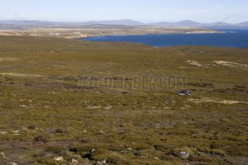 Overview of a sandy moor on Pebble Island Falkland Islands