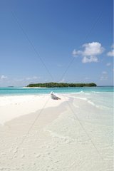 Beach of sand dans the archipelago of Maldives