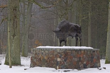 Bronze statue of Bison in the forest of Bialowieza Poland