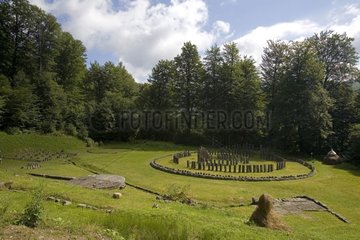 Ruinen der Stadt Sarmizetusa Regia Rumänien