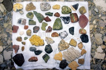 Sammlung von Mineralien in Devon abgeholt