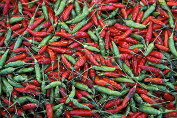 Cayenne pepper  capsicum frutesceus. Background cayenne chile chile pepper chili chili pepper food food background fresh many group hot hot pepper ingredient produce red green spice spicy straight down texture vegetable