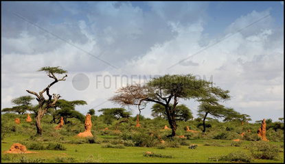 landscape in ethiopia