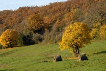 Autumn Landscape in the Bugey region of Rhône-Alpes France