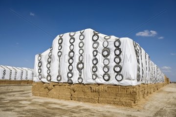 Straw stacks covered with tarpaulins in California USA