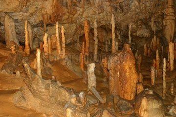 Stalagmites dans les grottes de Postojla Slovénie