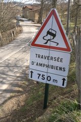 Signal crossing a road on Amphibians France