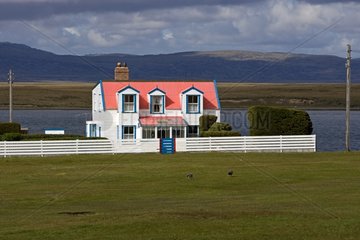 Farmer's house Eastern Falkland Falklands Islands