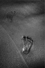 Footprint Plage de l'Anse Couleuvre in Martinique Island