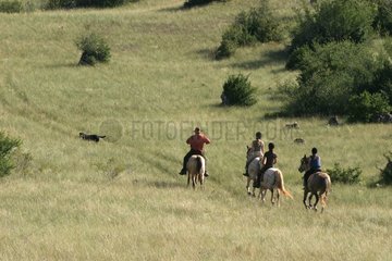 Randonnée à cheval sur le causse du col de la Barrière Gard