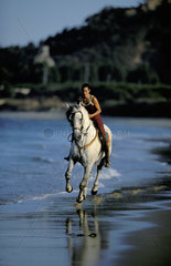Tarifa  horse back riding on the beach