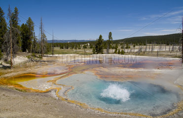 Colorful Beryl Springs in Yellowstone National Park in Wyoming USA
