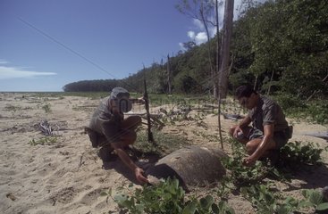 ONCFS nature guards discovering a sea turtle shell