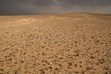 Reserve Mahazet in der saudi -arabischen Regenzeit gesetzt