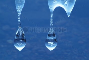 Drop-shaped stalactites of ice Haute-Loire France