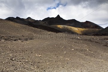 Landscape Volcan Sierra Negra volcanic Isabela Island