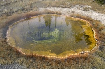 Hot Source Park von Yellowstone USA