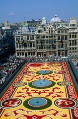 Bruxelles  tapis floral sur la Grand Place