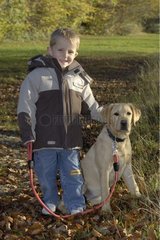 Kleiner Junge und sein Labrador -Hund beim Spaziergang