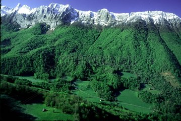 Etagement de la végétation suivant l'altitude Pyrénées