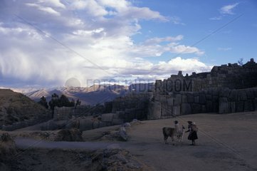 Person with two Lamas in an Archeological site Peru