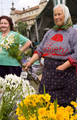 Old lady babushkas selling flowers at market in old town center city of Lviv Ukraine