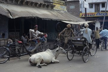 Trishaws waiting for the tourists in Bharatpur India