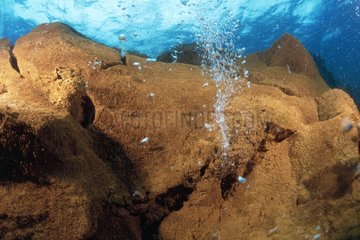 Underwater volcano Maheagetang Sulawesi Asia