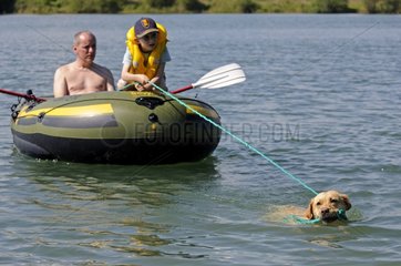 Labrador bringing back inflatable boat to shore France