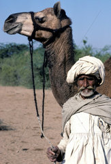 INDIA : Gujarat. In the Kutch. A Rabari man with his camel. The Rabari are semi nomadic and one of the larger local ethnic minorities.