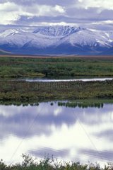 Mountains and small lake in the tundra Yukon Canada