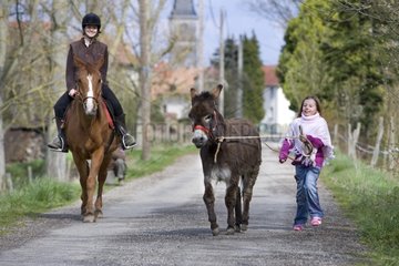 Young girls walking a donkey and a horse Reiningue France