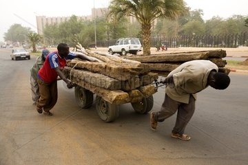 Transport of structural timber in charette Niamey Niger
