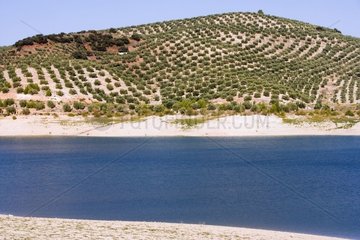 Storage reservoir of Colomera Andalusia Spain