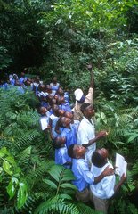 Schoolchildren observing the Korup forest Cameroon