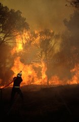 Fire man against forest fire Esterel range Provence France