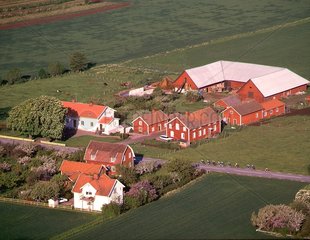 Vue aérienne d'une ferme dans la Province de Smaland Suède