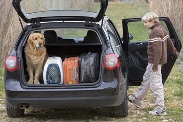 Dog in a car with case with cat France