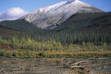 Yukon landscape in automn Canada