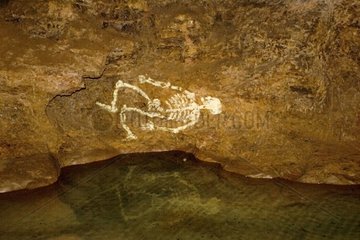 Painting of skeleton in Clearwell Caves in the Forest of Dea