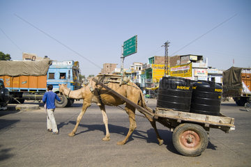 Camel driven vehicle slowly goes by with load in small village of Shahpura in Rajasthan near Jodhpur India