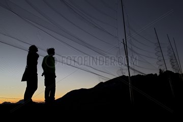Capture net for banding - Bretolet pass Swiss Alps