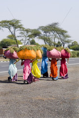 Colorful women in sari costumes carrying heavy loads on head on road to Jodhpur in Rajasthan India