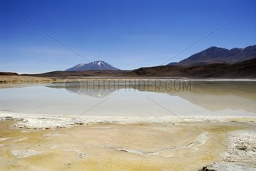 Laguna Honda Altiplano Bolivia