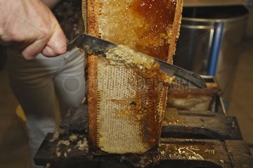 Honig in der Honigfaktor Baie de Somme Frankreich einnehmen