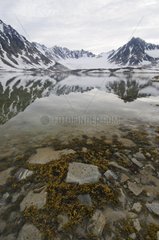 Water landscape in the fjord of Hamburgerbukta Svalbard