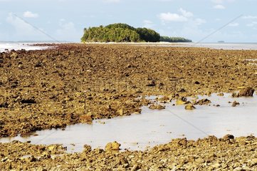 Korallenschlag bei Ebbe der Funufuti Tuvalu Island