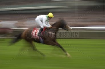 Horse and jockey in race on a hippodrome